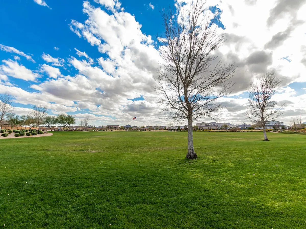 A wide green park dotted with bare trees, distant houses, and an American flag under a cloudy sky. The open area suggests ample space for outdoor games, walking pets, or hosting community gatherings.