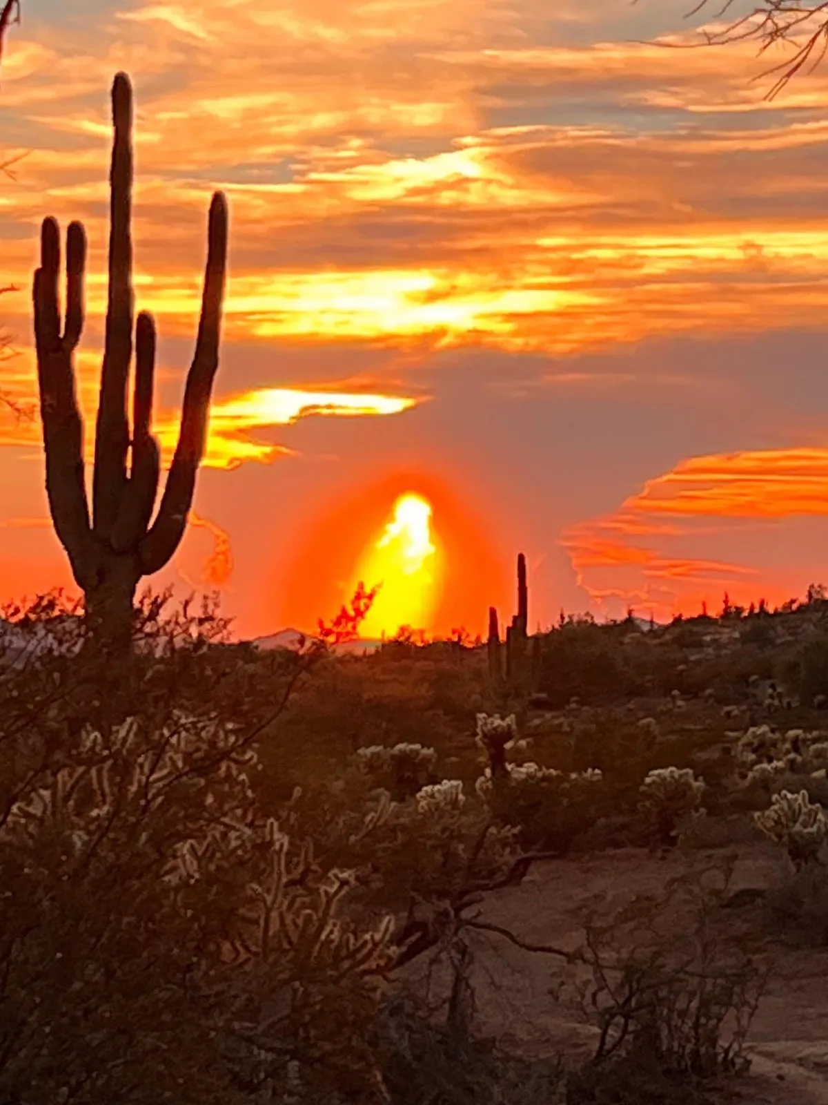 A wide Arizona sunset view featuring saguaro cacti and dramatic cloud formations. The colors are vibrant, and the landscape invites peaceful outdoor moments and connection with the unique local environment.